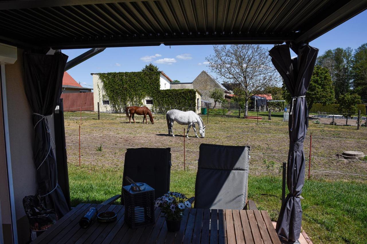 Barrierefreie Ferienwohnung Trueben Bornum Bagian luar foto